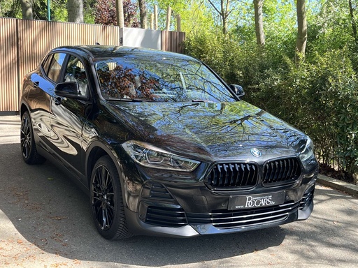 BMW X2 25e Full Led-Head Up-Navi Prof-Verw.Leer-Cam-19"